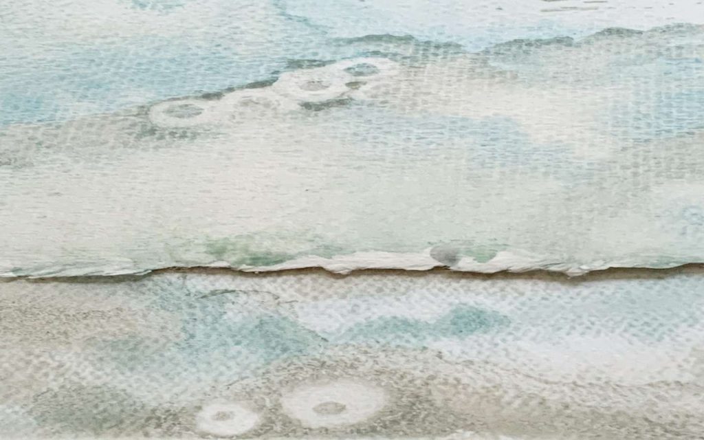 watercolors by erica daley