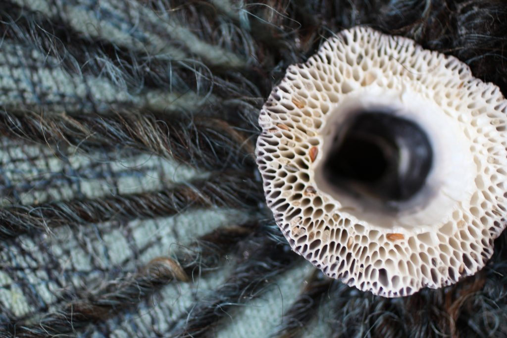 textile are by erica daley