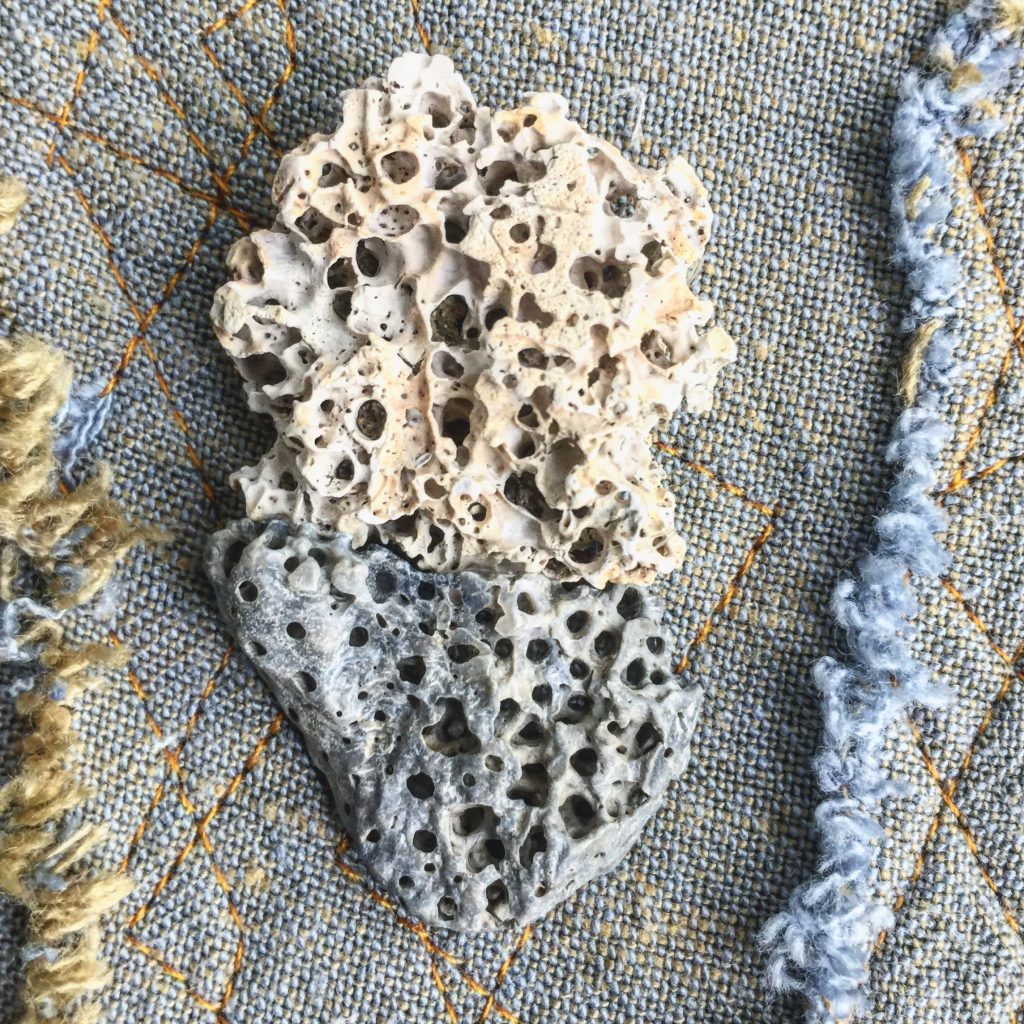 photography by erica daley