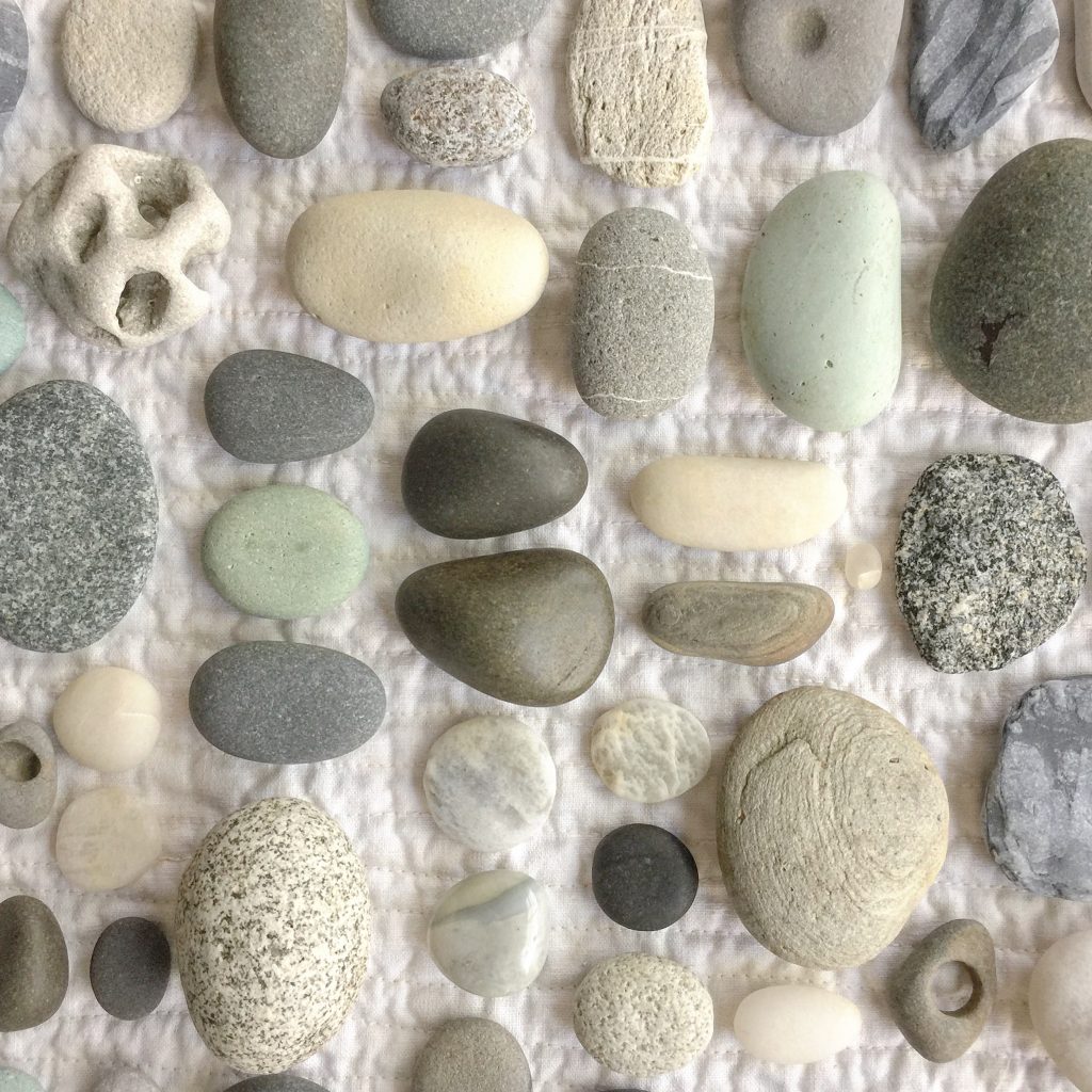 photography by erica daley