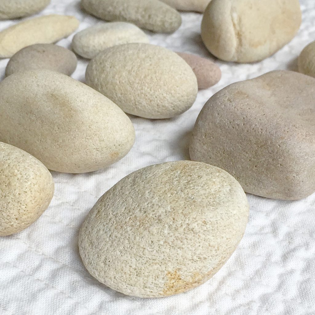 photography by erica daley