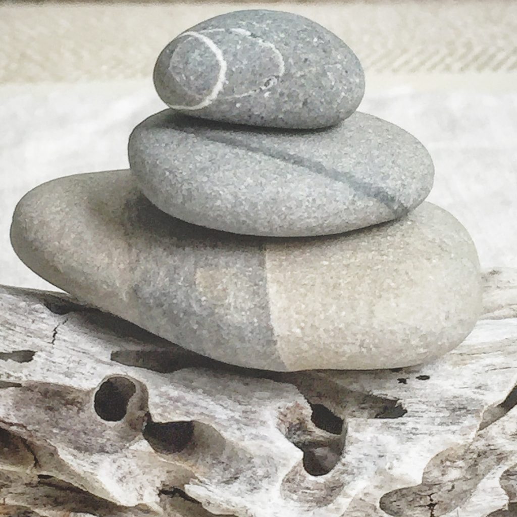 photography by erica daley