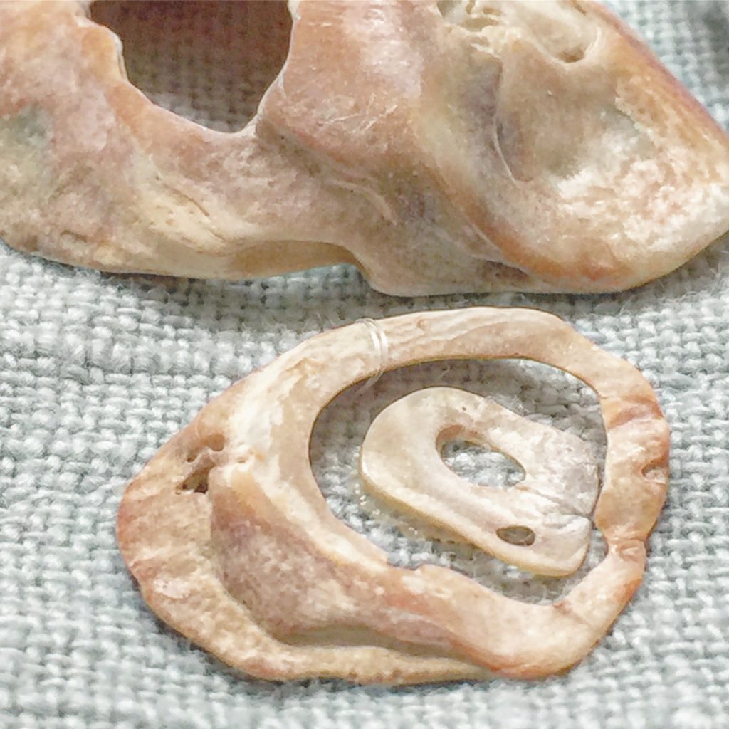 photography by erica daley