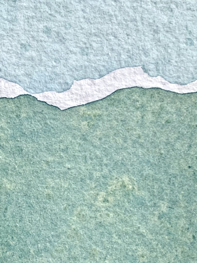 watercolors by erica daley