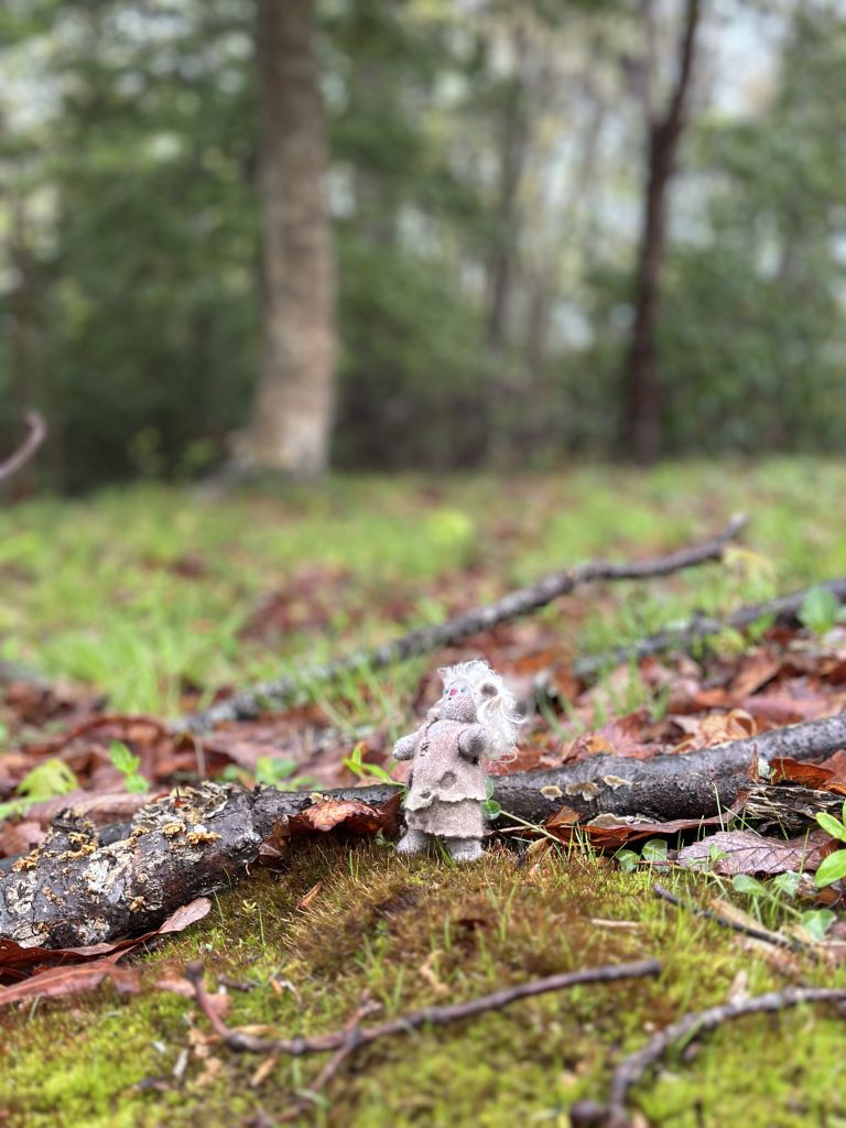 tiny trolls by erica daley