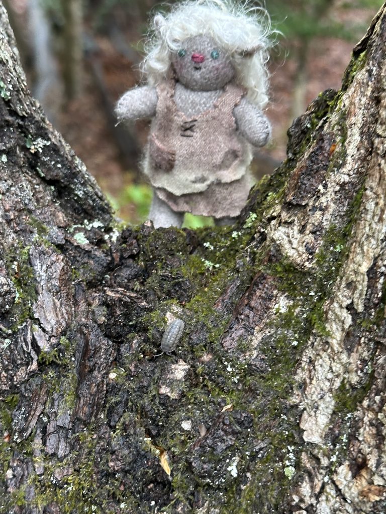 tiny trolls by erica daley