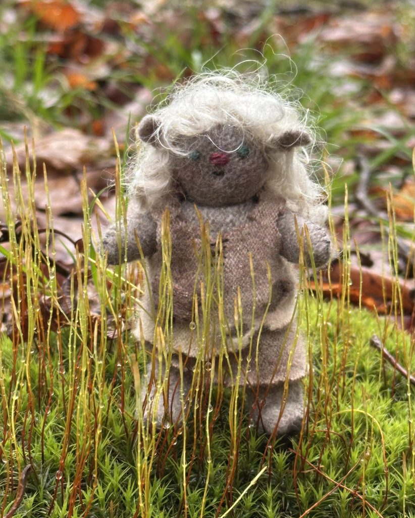 tiny trolls by erica daley