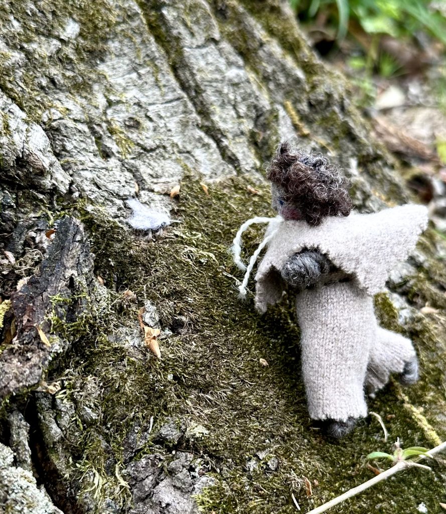 Erica Daley natur folk