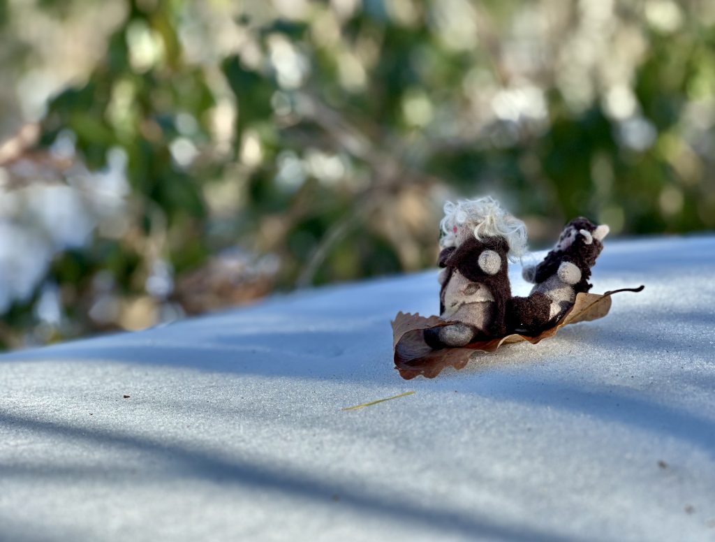 Tiny Trolls by Erica Daley