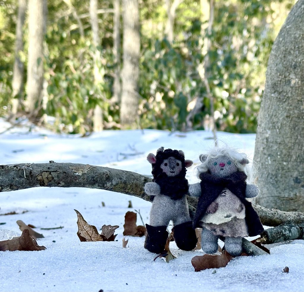 Tiny Trolls by Erica Daley