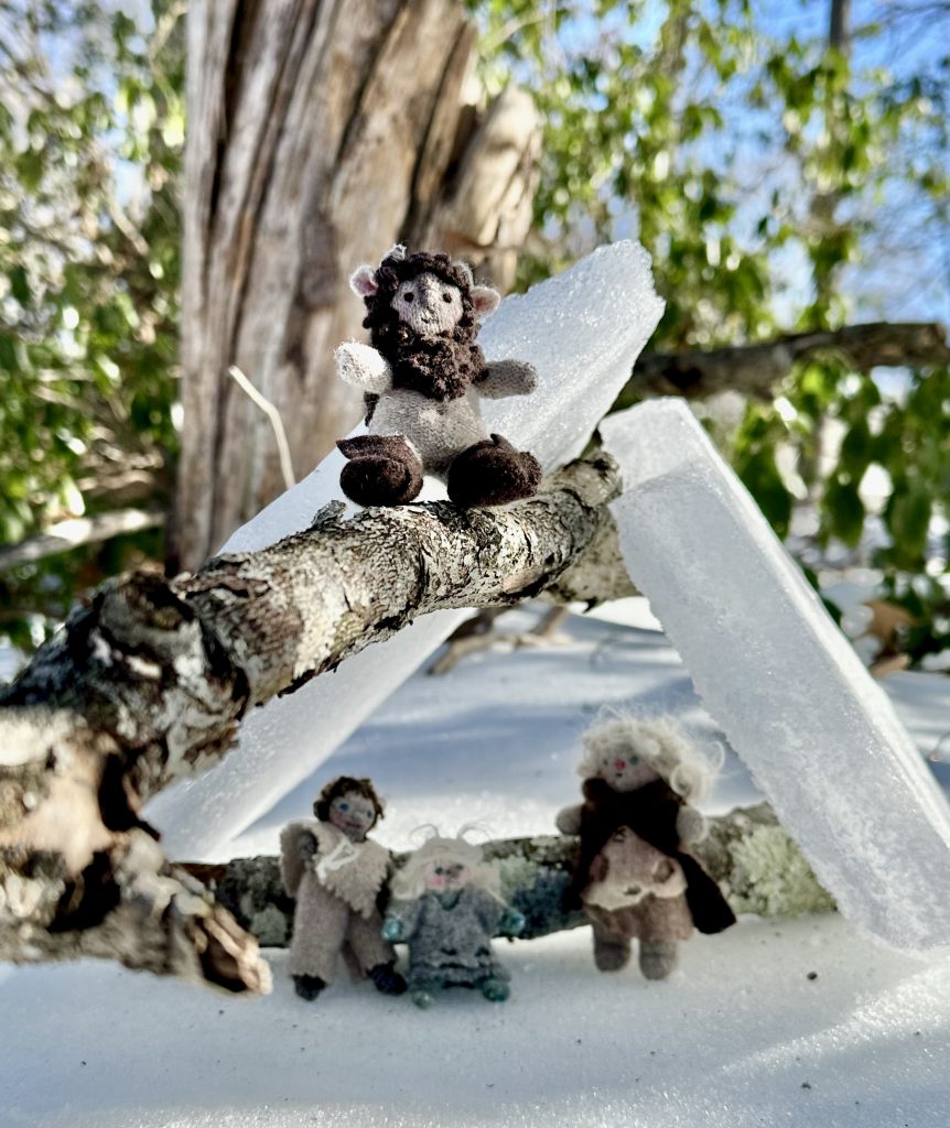 Tiny Trolls by Erica Daley