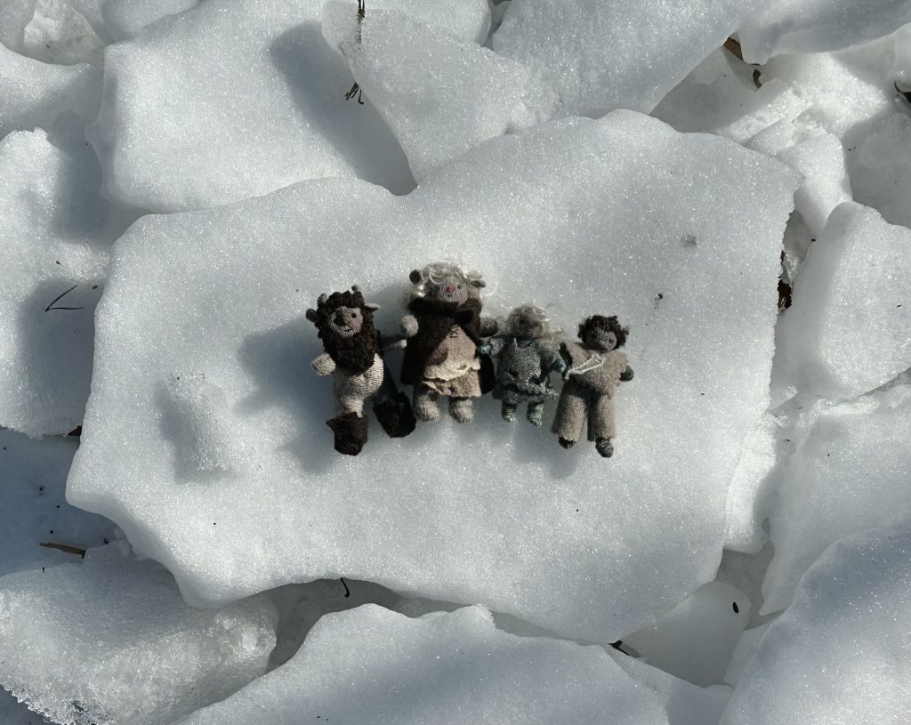 Tiny Trolls by Erica Daley